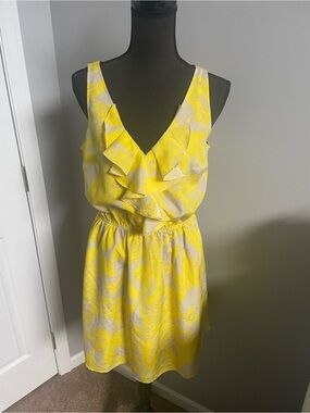 Express Floral Sundress